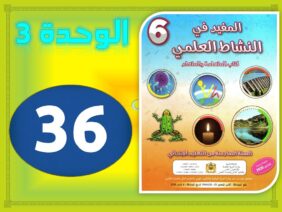 المفيد في النشاط العلمي المستوى السادس الصفحة 36 الوحدة 3 الحصة 2 العلاقات بين مكونات الوسط البيئي