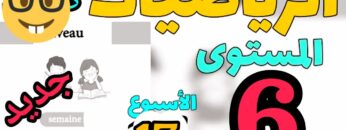 المدرسة الرائدة المستوى السادس الحاسوب 17| الرياضيات