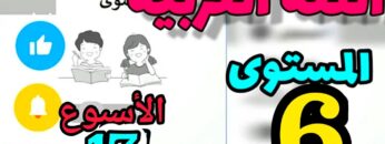 المدرسة الرائدة المستوى السادس الأسبوع 17| العربية ح 3