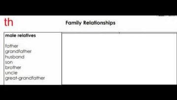 دروس التاسعة(الثالثة اعدادي) انجليزية:الدرس3 :Family