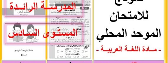 الامتحان الموحد المحلي، اللغة العربية المستوى السادس المدرسة الرائدة. نموذج:2