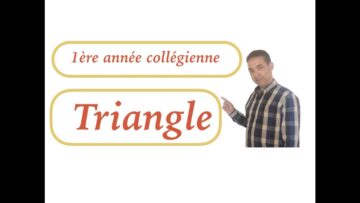 Cours sur le triangle 1ère AC séance2